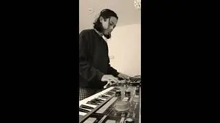 live Dawless jammin