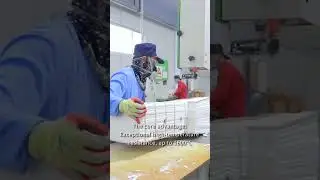 How High-Performance Ceramic Fiber Modules Are Made | Industrial Kiln Insulation Up to 1600&deg;C