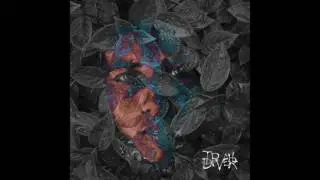 Trail Diver (Full Album)