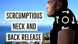 Shoulder Roll Progressions for Increasing Scapular Mobility with Antranik