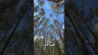 мини влог со стройки🏠 #house #shortvideo #shortvideo #тренды #dream #building #стройка #дом #влог