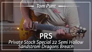 PRS Private Stock Special 22 Semi Hollow Sandstorm Dragons Breath played by Tom Punt | Demo