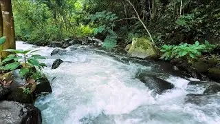 Peaceful River Sounds for Deep Sleep Stress Relief Meditation Relaxation Nature ASMR 12 Hours