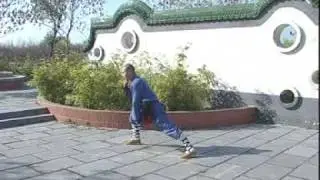 Shaolin Luohan Quan Si Lu - Liu Zhenhai
