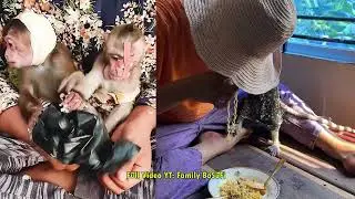 Лес, полный опасностей для сироты, но добрый человек предложил ему безопасное убежище.