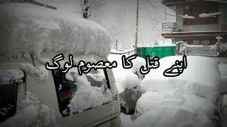 Maree Accident #sad #line #whatsappstatus #deep #official #noumanvoice
