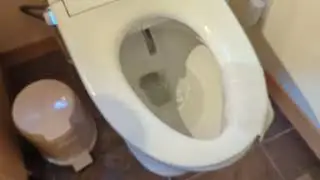 Alpha bidet flushing problem