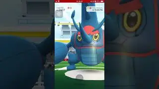 raid mega heracross