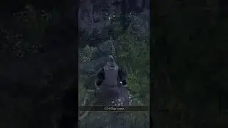 Mages In Elden Ring