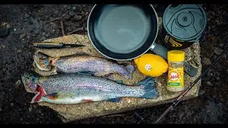 The Most fish We've Ever Caught In One Day (Nonstop Action)