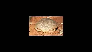 [Wikipedia] Dunnsville, Western Australia