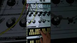 Colossus Synthesizer | Raw Sequence with Touch Keyboard Lead #shorts