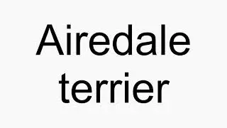How to pronounce Airedale terrier