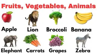 100 First Words | Learn Fruits, Vegetables and Wild Animals in English | Best Educational Video 2026