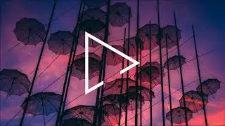 Polo & Pan - Canop&eacute;e