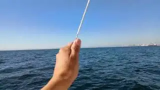 Barcino a 8 nudos por  Bah&iacute;a de Valpara&iacute;so.