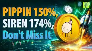 Why Is PIPPIN Pumping Today? PIPPIN Up 150%, SIREN Rockets 174%, SHIB Gains 22% | 3.0 TV