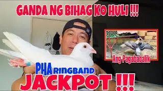 ASTIG ANG BIHAG NATEN PUTING KALAPATI | PHA RING | ANG TAPANG |11| 06 | 20