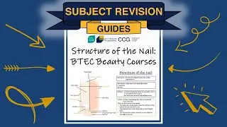 Structure of the Nail & its Functions | BTEC Beauty | SLN Connect Subject Revision Guides