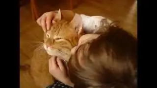 Terysek a Sebicek- little girl and the cat