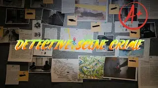 How To A+ All Levels in DETECTIVE - Scene Crime