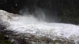 The First Waterfall at Bowen Park, Nanaimo  November 15, 2021