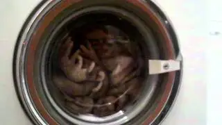 Philco washing machine WE852 - Woolens(4)