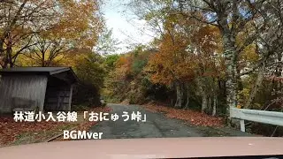 滋賀県 林道小入谷線（おにゅう峠）滋賀県側から上りBGMver