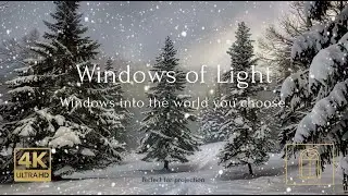 Winter Forest for TV ❄️ Calm Snowfall & Soft Light | 4K Ambient Background