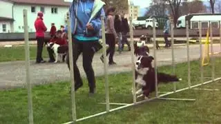Linetka