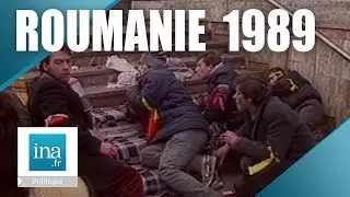 24 décembre 1989 : 3ème jour de la révolution roumain | Archive INA