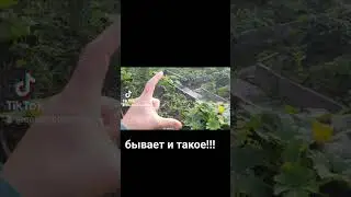 бывает и такое