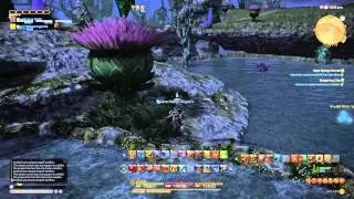 Final Fantasy XIV Heavensward -  Hope Springs Eternal (Quest) 1080p 60fps