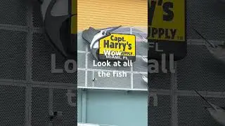 FISHING SUPPLY STORE IN MIAMI. #short #fishingstore #youtubeshort