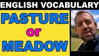 English Words with Similar Meaning | Pasture or Meadow?