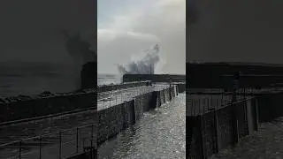 The tail-end of Storm Chandra hits Mousehole Harbour, Cornwall, UK #stormchandra #mousehole #shorts