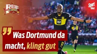 BVB vor dem dritten Deal in einer Woche &ndash; Riesen-Angebot f&uuml;r Maxi Beier | Reif ist Live