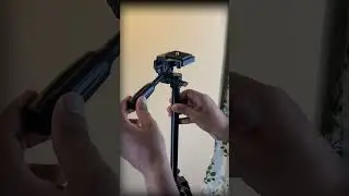 Tygot 3366 Tripod Review  | 55-Inch Lightweight Universal Tripod for Mobile & Camera  #techshorts