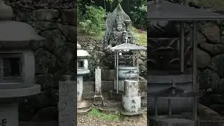 Nara deer park in Japan is a work of art