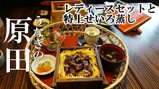 柳川市 うなぎの原田「特上せいろ・レディースセット」中山の大藤 樹齢300年