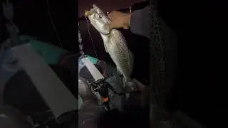 SPECKLED TROUT NIGHT FISHING 🔥🔥