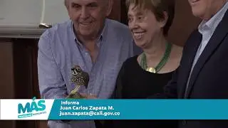Noticias del Progreso | El Tororoi Bailador es la nueva especie de ave descubierta en Cali