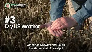 Three Factors Driving Grain Market Volatility