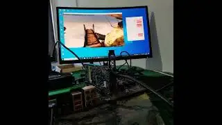 AMD Radeon PRO WX 3100 WX3100 4GB GDDR5 128 BitLS Wirawan