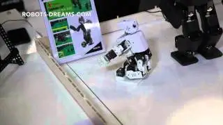 RobotWorld 2013: Darwin Mini Humanoid Robot