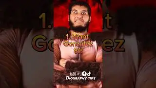 Top 10 tallest WWE 😱 wrestlers 🤼&zwj;♀️ of all time #shorts #trending #world #data #tallest #wwe