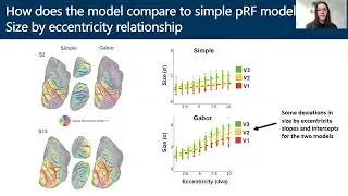 OHBM 2022 | 149 | Talk | Katarina Moravkova | Characterising coarse-scale orientation biases in hu&hellip;