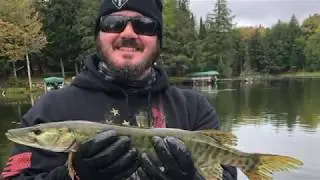 Cisco Chain of Lakes Day 3-Catching a PB smallmouth and a couple (A first ever) Muskies Bass Fishing