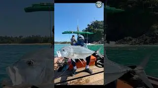Explosive Giant Trevally Topwater Trailer &mdash; Poppers, Rocks & Big Hits!