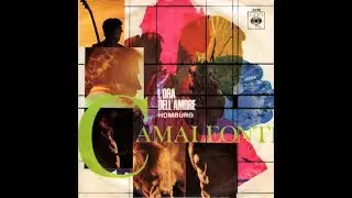 L'Ora Dell'amore - I Camaleonti